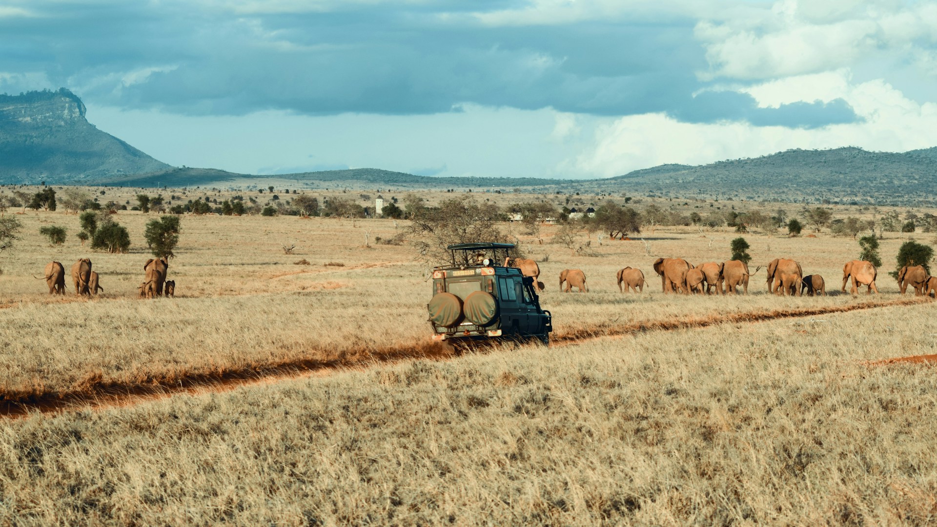 Aafrika safari